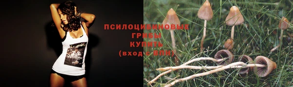 спайс Балахна