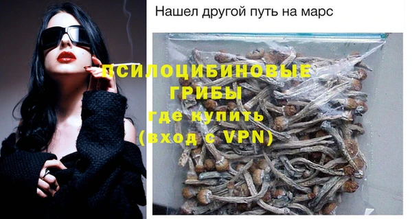 мяу мяу мука Баксан